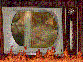 Sexy Guys Web Cam